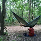 Review photo of Palmetto State Park Campground by Troy W., July 10, 2018