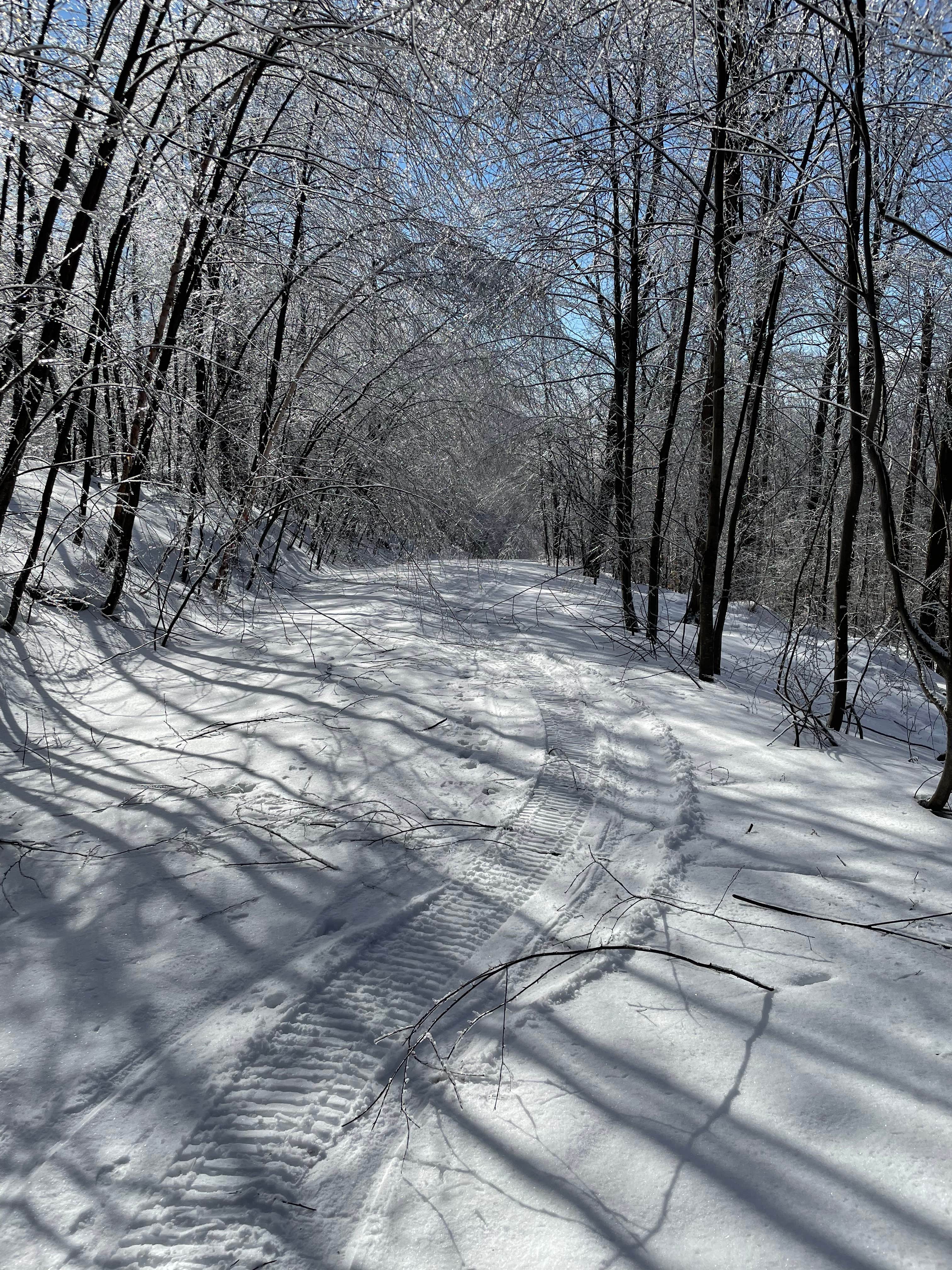 Camper-submitted photo at Privacy Campground near Bennington, VT