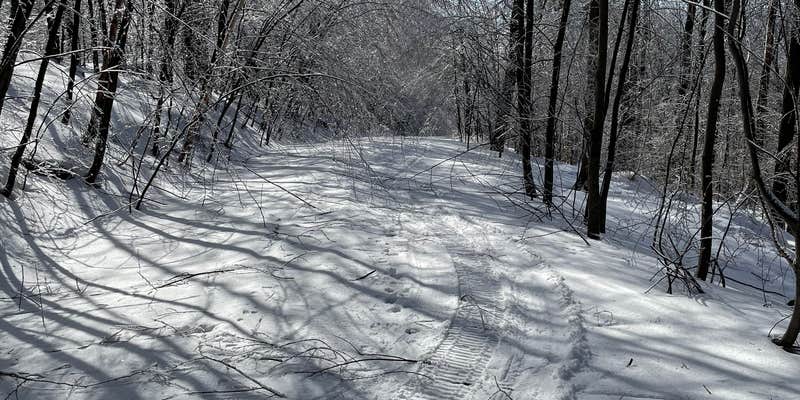 Camper submitted image from Privacy Campground