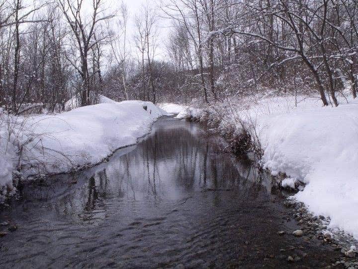 Camper-submitted photo at Privacy Campground near Bennington, VT