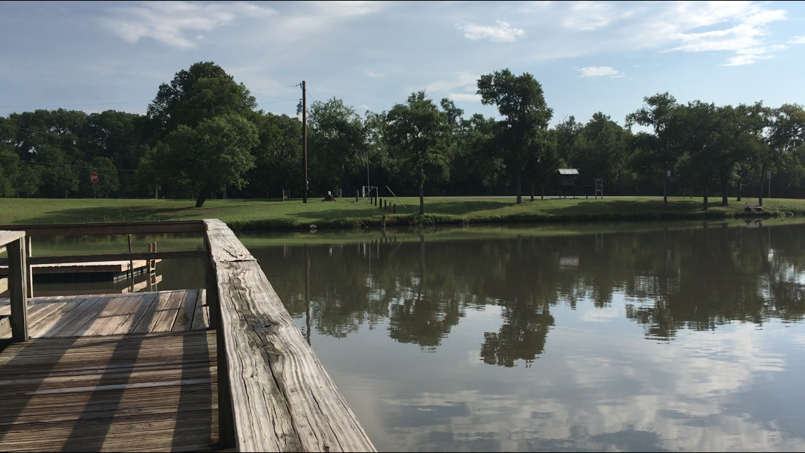 Camper submitted image from Palmetto State Park Campground - 4