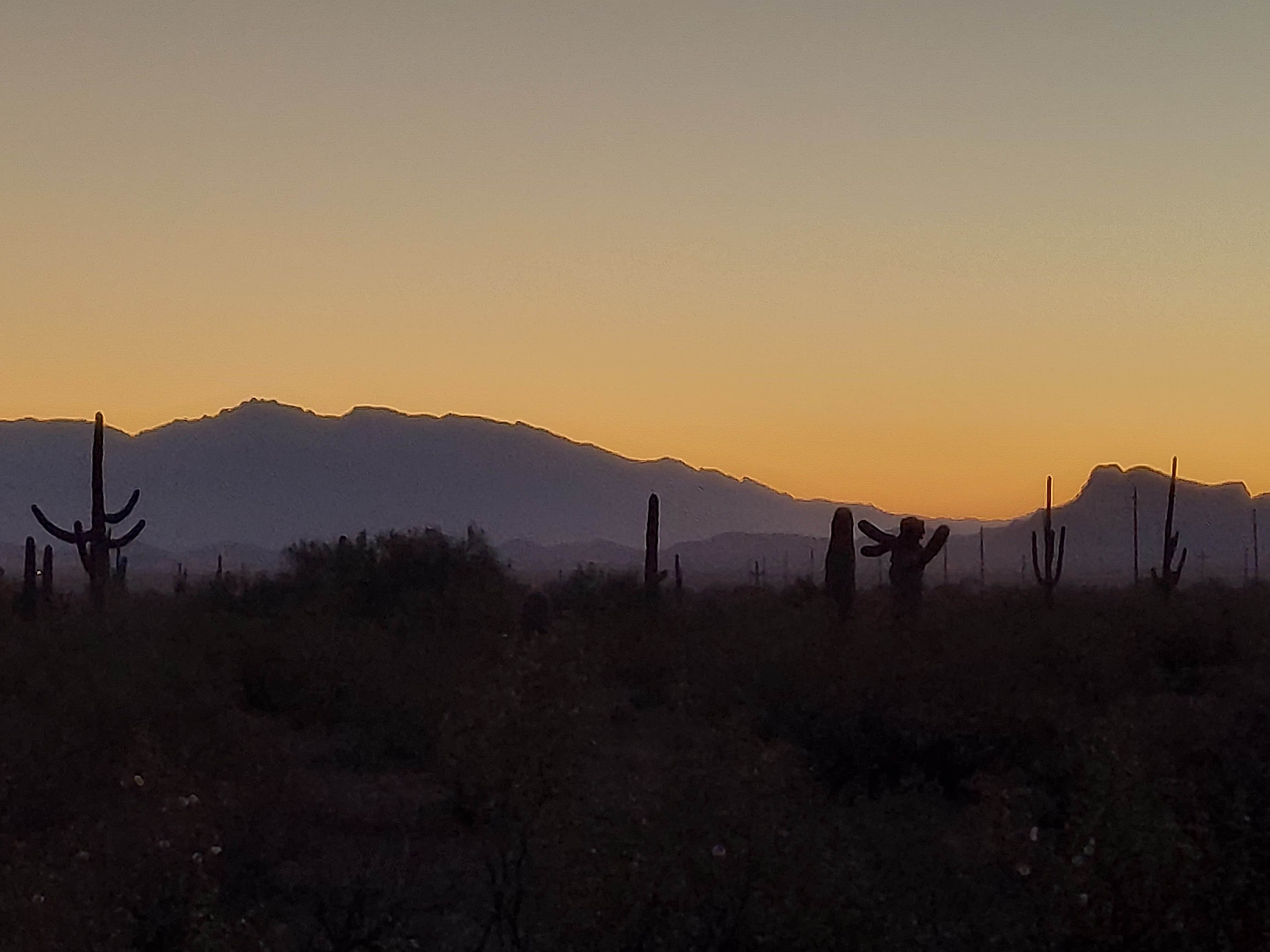 Mark's photo of a dispersed camping area at BLM Ironwood Forest National Monument - Pipeline Rd Dispersed camping near Cortaro, AZ