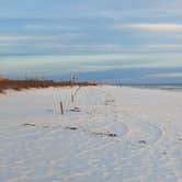 Review photo of Henderson Beach State Park Campground by Tony C., February 11, 2022