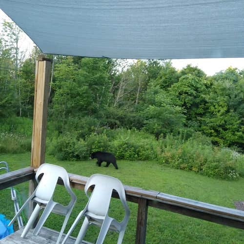 Camper-submitted photo at Camp Kit Adin Outfitters near Dushore, PA