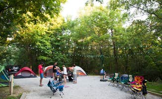 Meg S.'s photo at Coon Creek (IL) near Effingham, IL