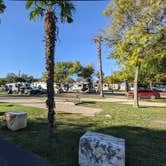 Review photo of Travelers World RV Resort by Laura M., February 11, 2022