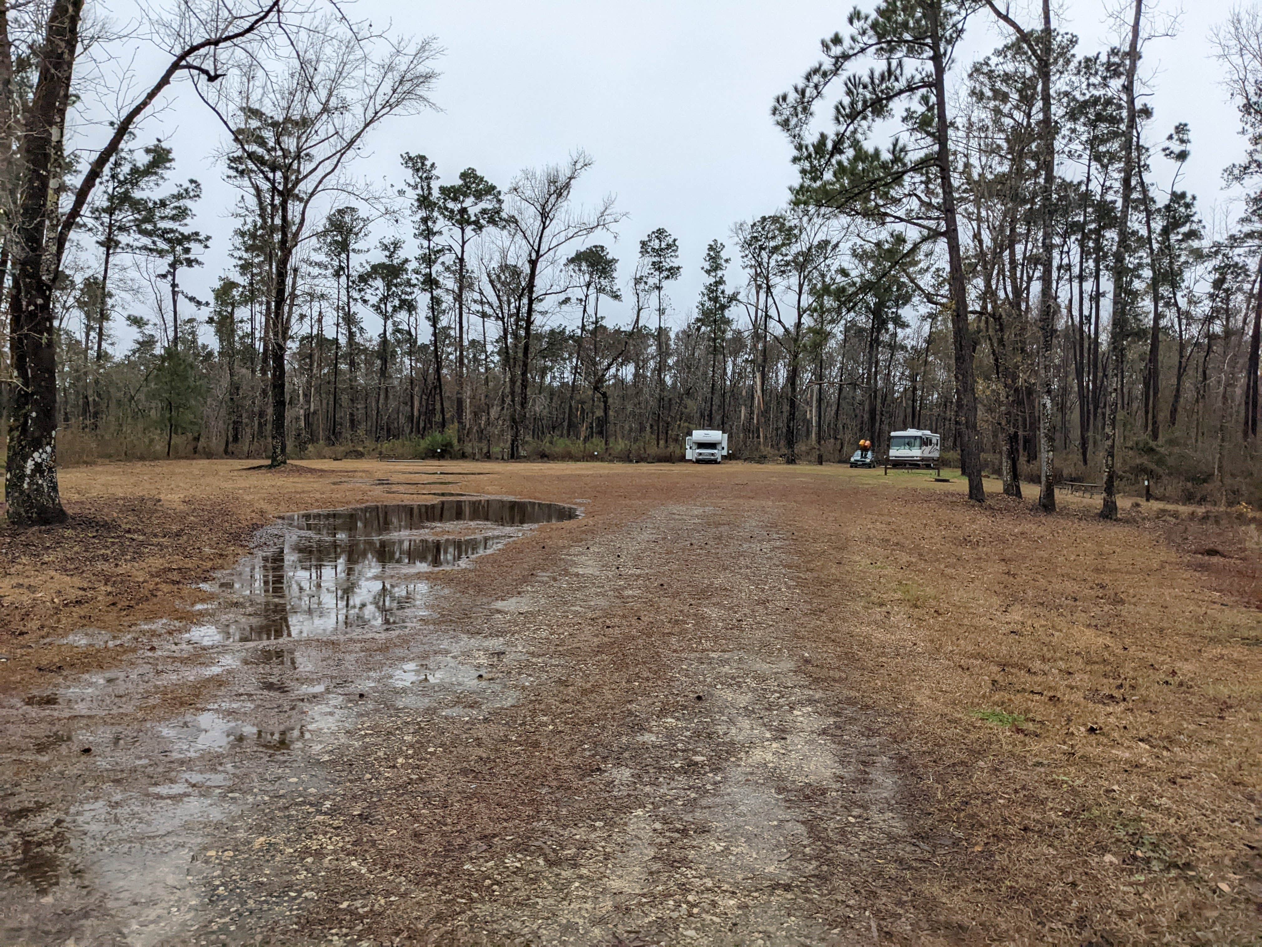Camper submitted image from Florida River Island - 4