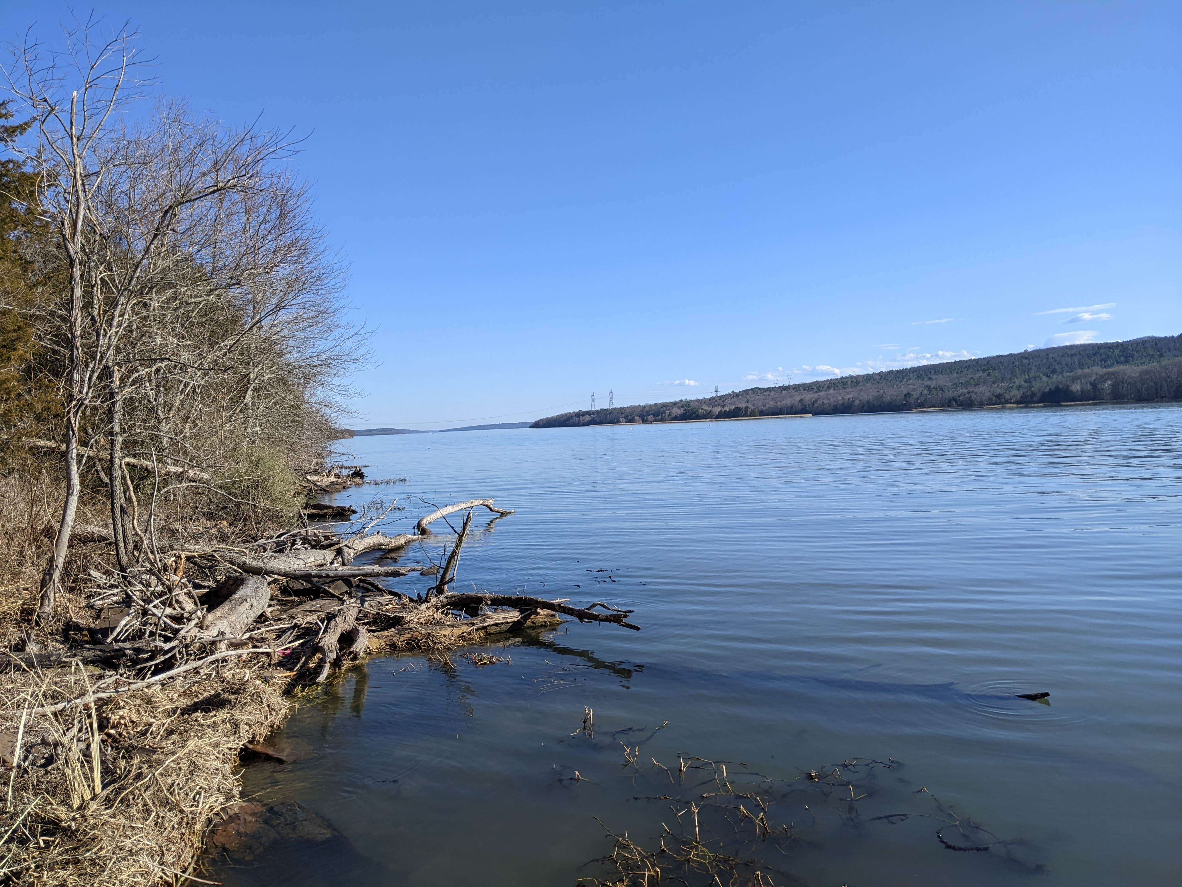 Camper-submitted photo at Spencer's Landing RV Park near Russellville, AR