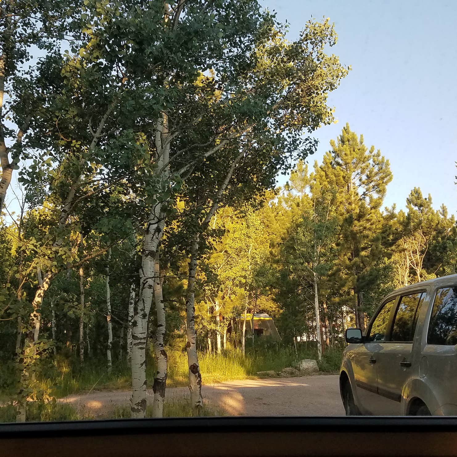 Olive Ridge Camping | The Dyrt