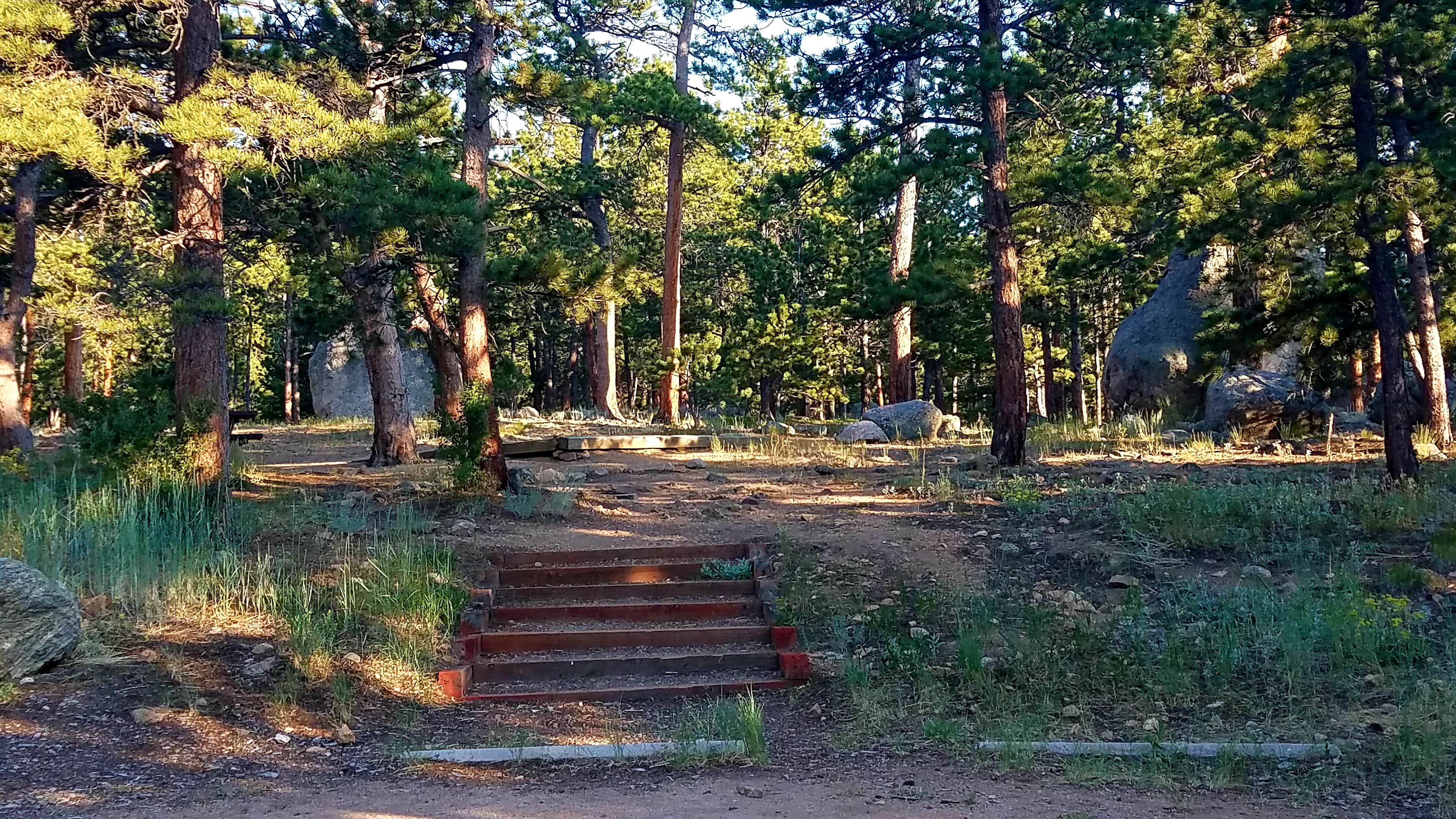 Camper submitted image from Olive Ridge - 5