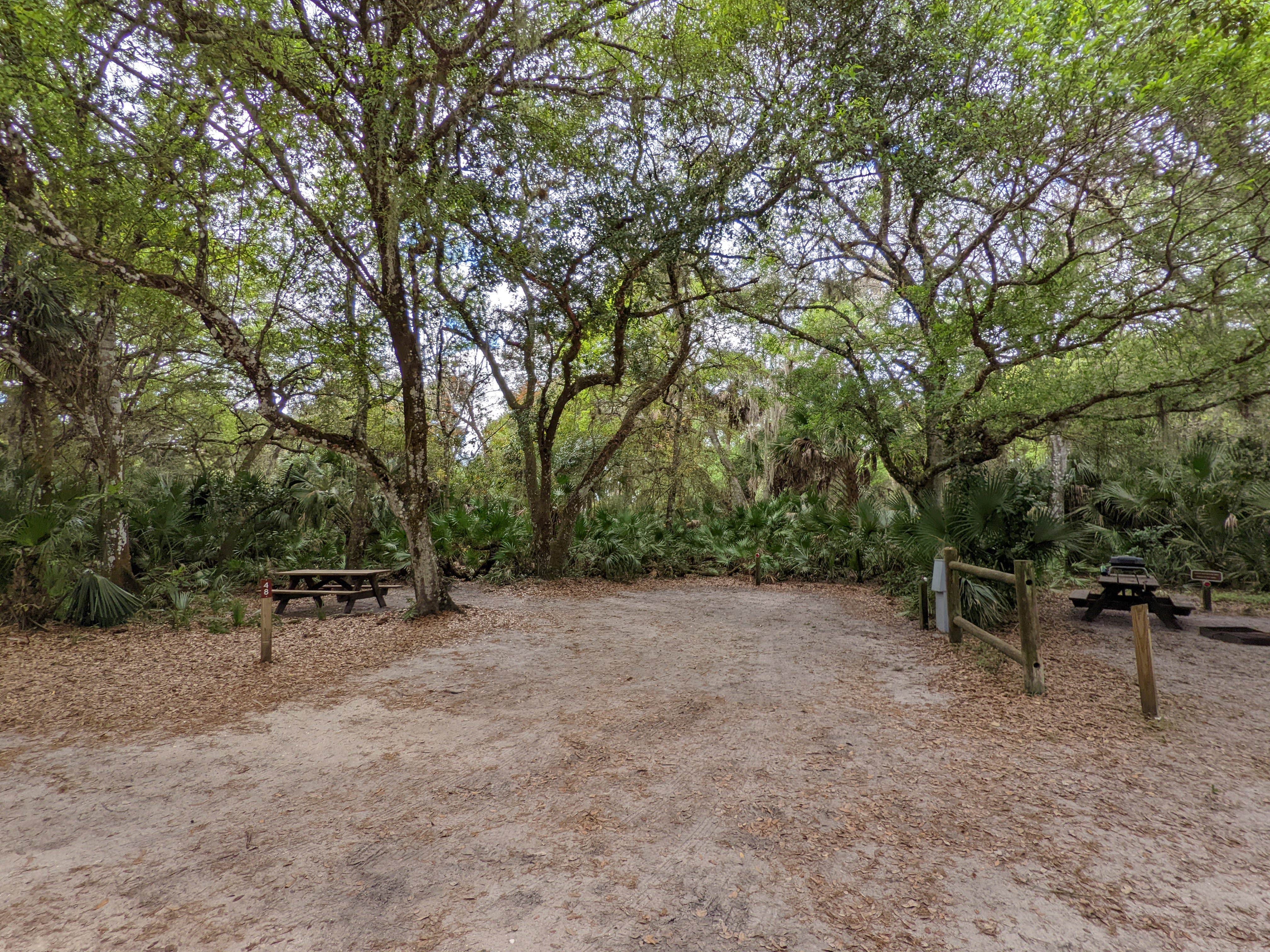 Camper submitted image from Old Prairie Campground — Myakka River State Park - 5