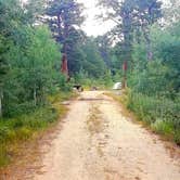 Review photo of Olive Ridge by Mary S., July 10, 2018