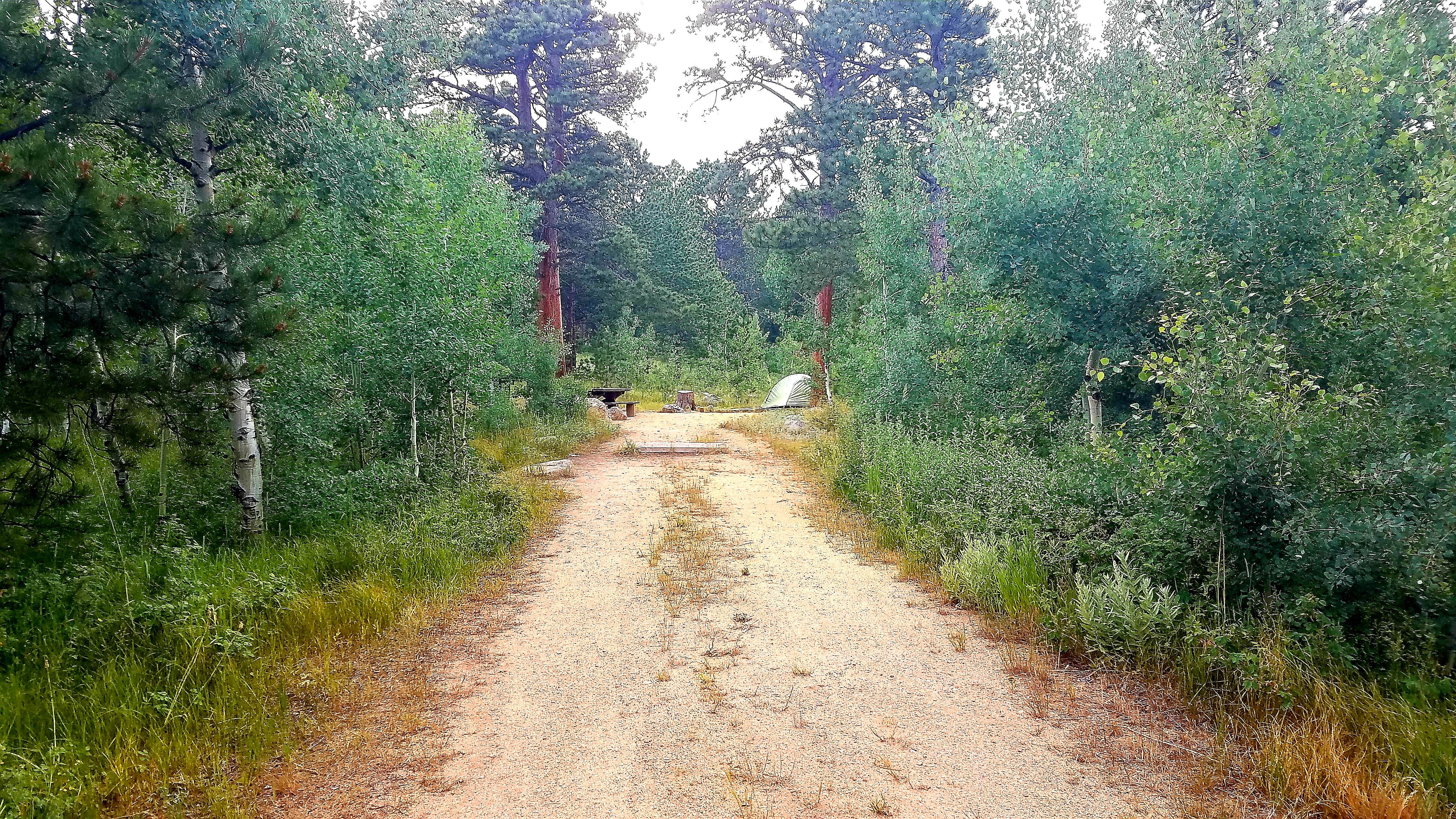 Site 20 - tent on the right 