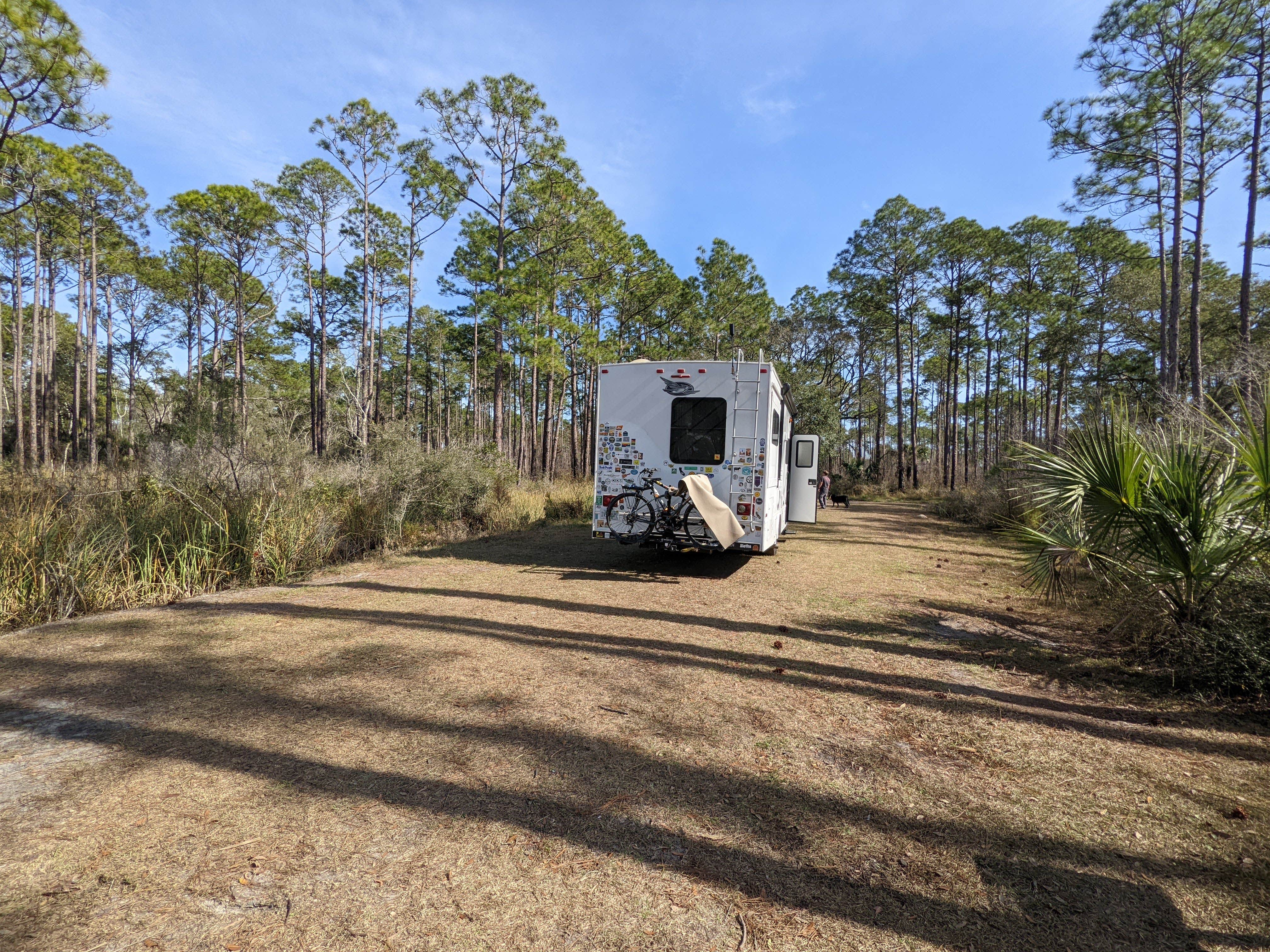 Laura M.'s photo of rv camping at Tate's Hell State Forest High Bluff Primitive Campsites, FL near Panacea, FL