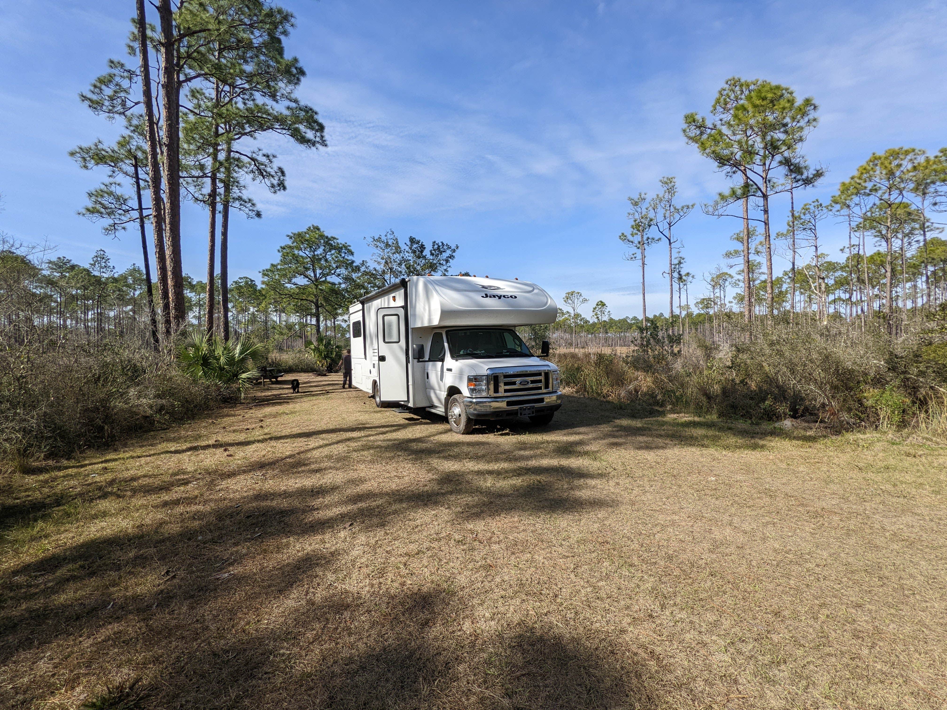 Camper-submitted photo at Tate's Hell State Forest High Bluff Primitive Campsites, FL near Eastpoint, FL