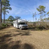 Review photo of Tate's Hell State Forest High Bluff Primitive Campsites, FL by Laura M., February 12, 2022