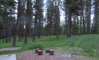 Camping near Monture Guard Station Cabin: Salmon Lake State Park Campground, Seeley Lake, Montana