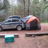 Review photo of Bowman Lake Campground — Glacier National Park by Nancy , February 12, 2022