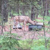 Review photo of Bowman Lake Campground — Glacier National Park by Nancy , February 12, 2022