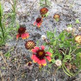Review photo of Oregon Inlet Campground — Cape Hatteras National Seashore by Peter C., July 10, 2018