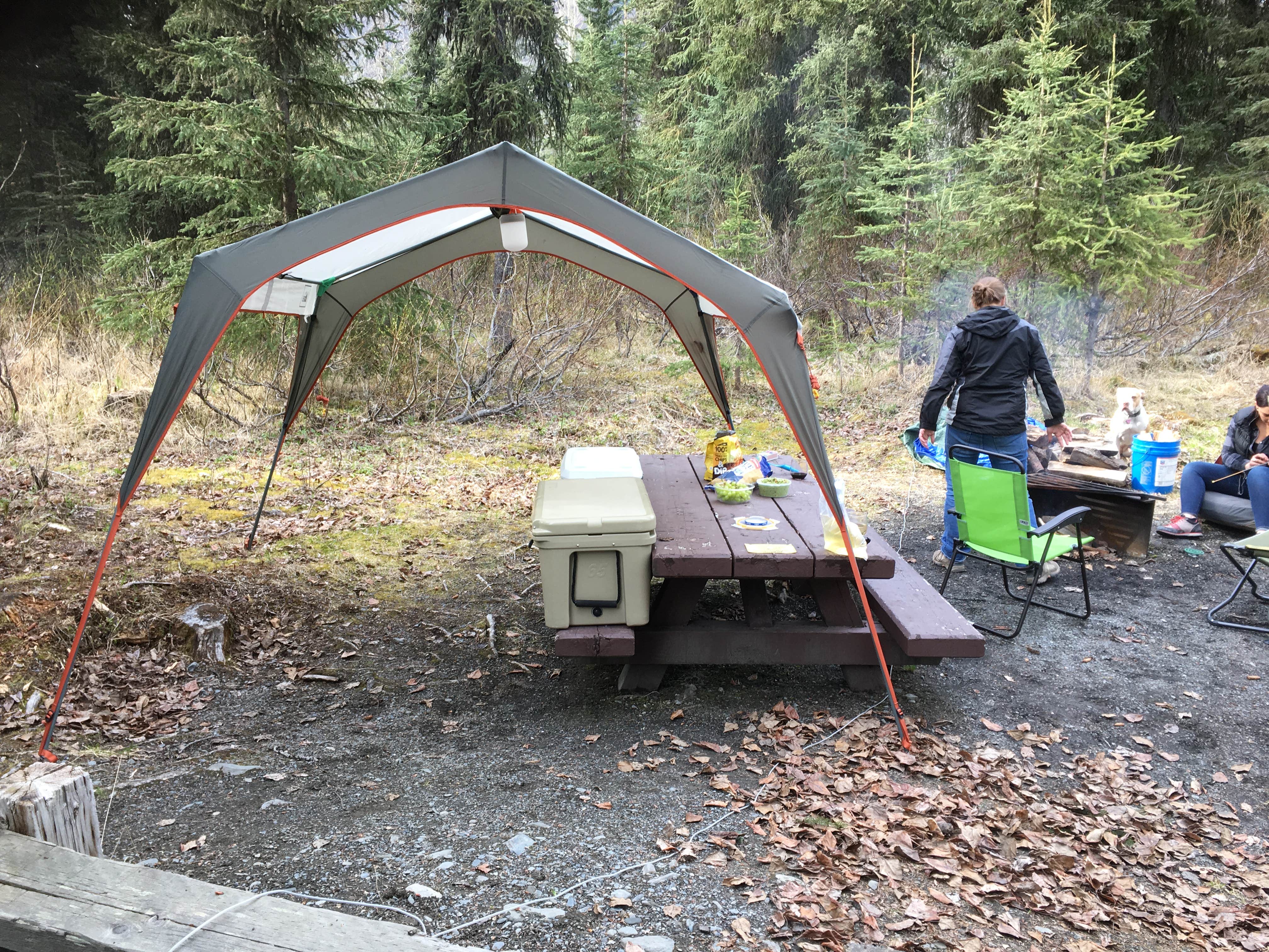 Vicki S.'s photo at Granite Creek near Hope, AK