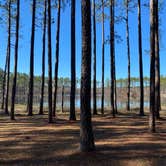 Review photo of Sand Pond Campground - Pine Log State Forest by Daylin R., February 12, 2022