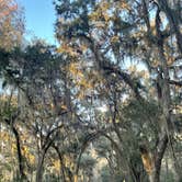 Review photo of Skidaway Island State Park Campground by autumn , February 12, 2022