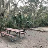 Review photo of Skidaway Island State Park Campground by autumn , February 12, 2022