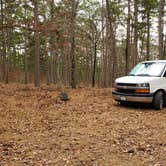 Review photo of Dispersed FR132 Ouachita National Forest, AR by Fred S., February 12, 2022