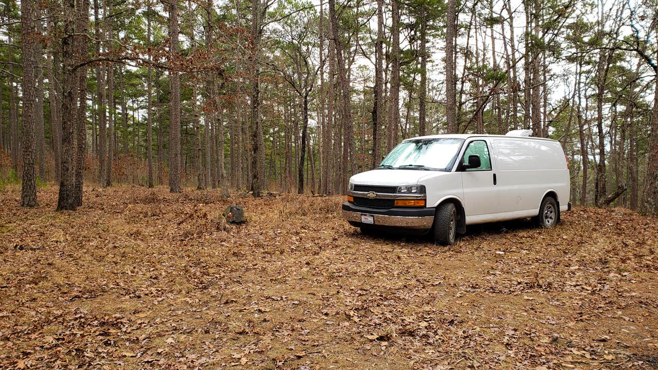 Camper submitted image from Dispersed FR132 Ouachita National Forest, AR - 3