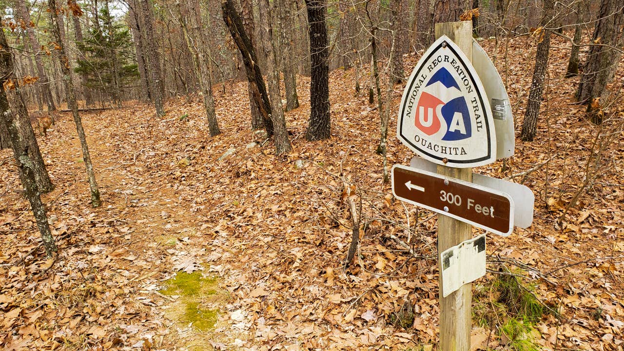 Camper submitted image from Dispersed FR132 Ouachita National Forest, AR - 5