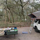 Review photo of Fred Gannon Rocky Bayou State Park by autumn , February 12, 2022