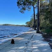 Review photo of Fred Gannon Rocky Bayou State Park Campground by autumn , February 12, 2022