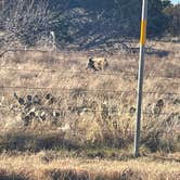 Review photo of Possum Kingdom State Park Campground by autumn , February 12, 2022