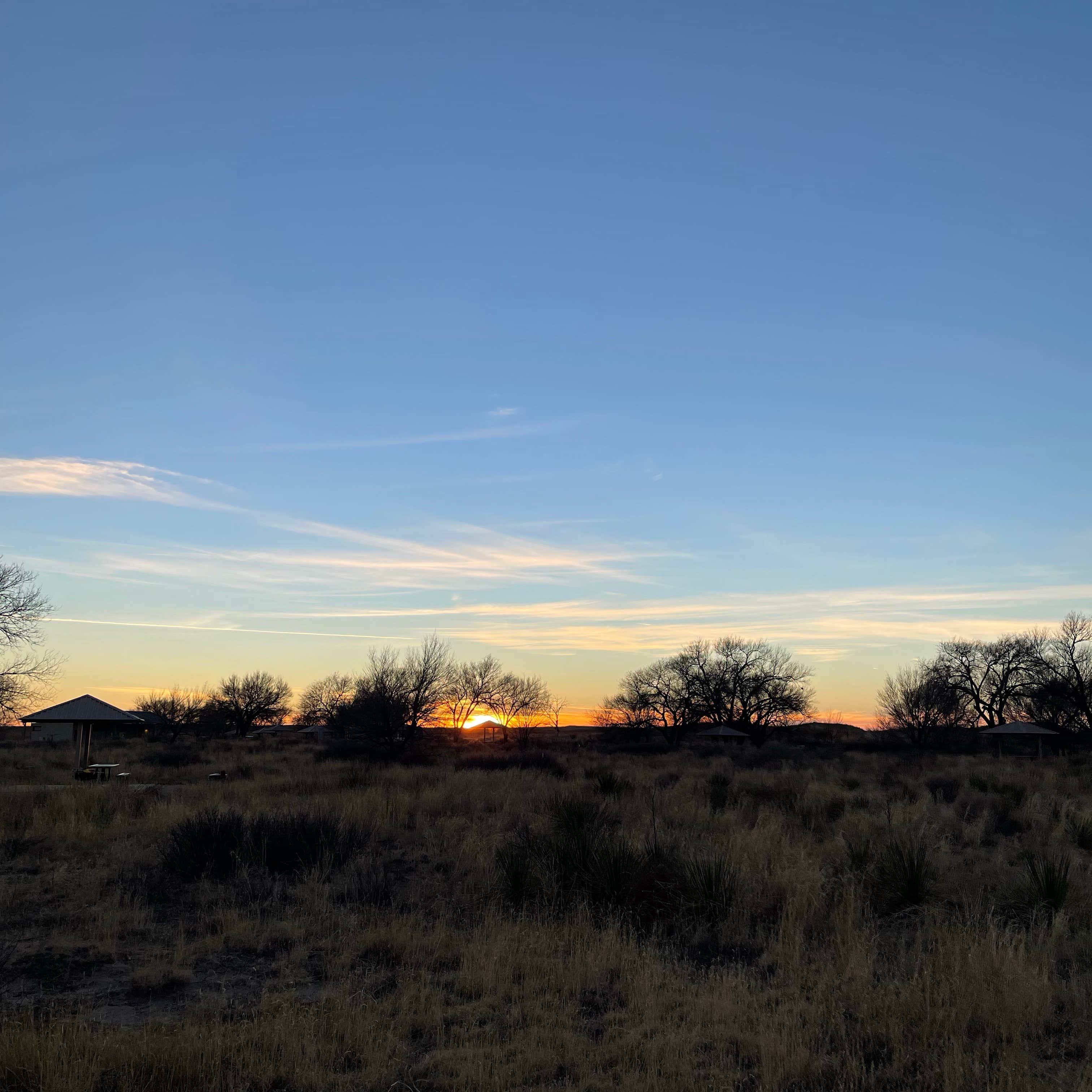 Escape to New Mexico's Oasis: A Hidden Gem in the Desert