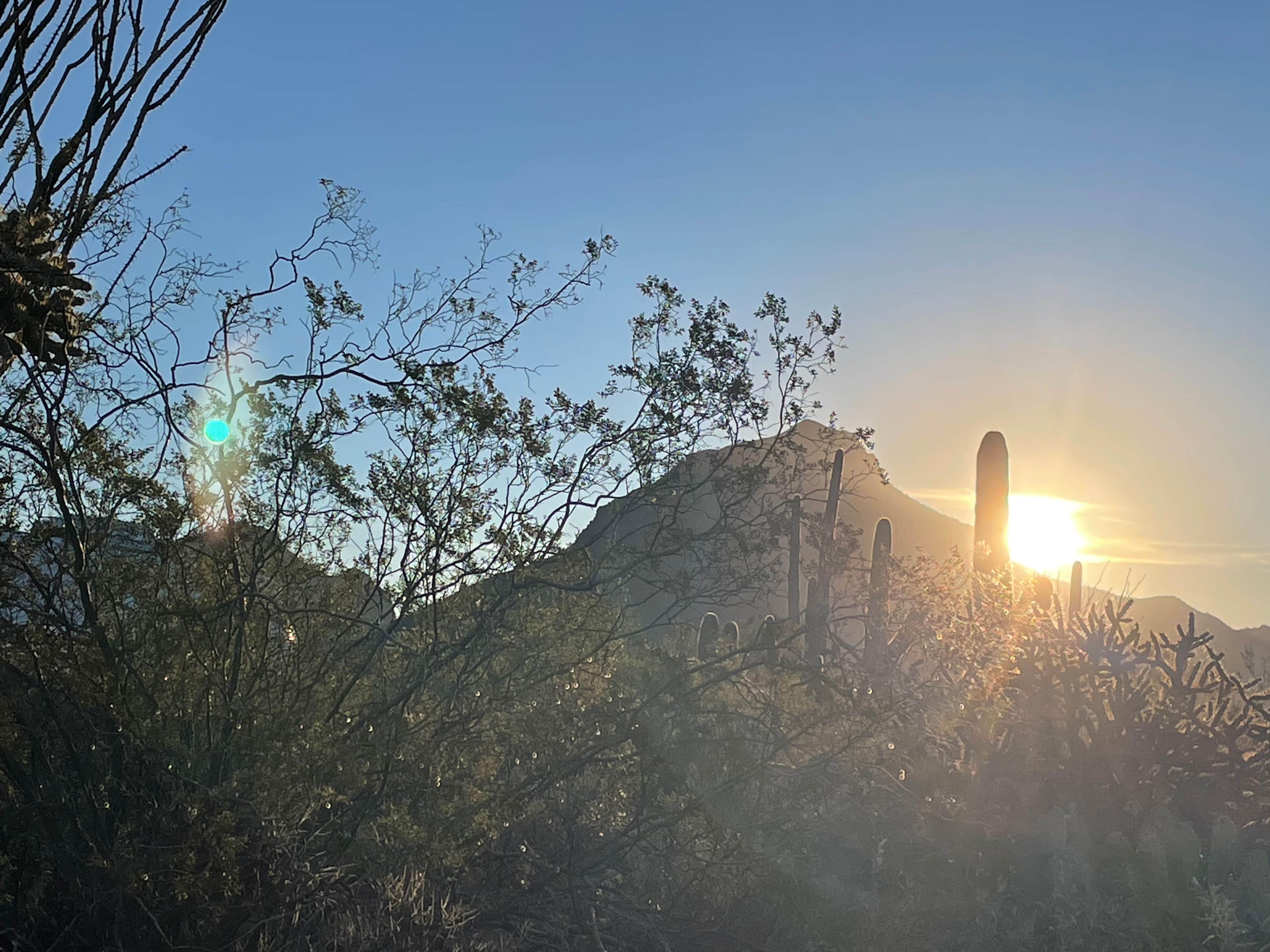 Camper-submitted photo at Maricopa County Park Lake Pleasant near Anthem, AZ