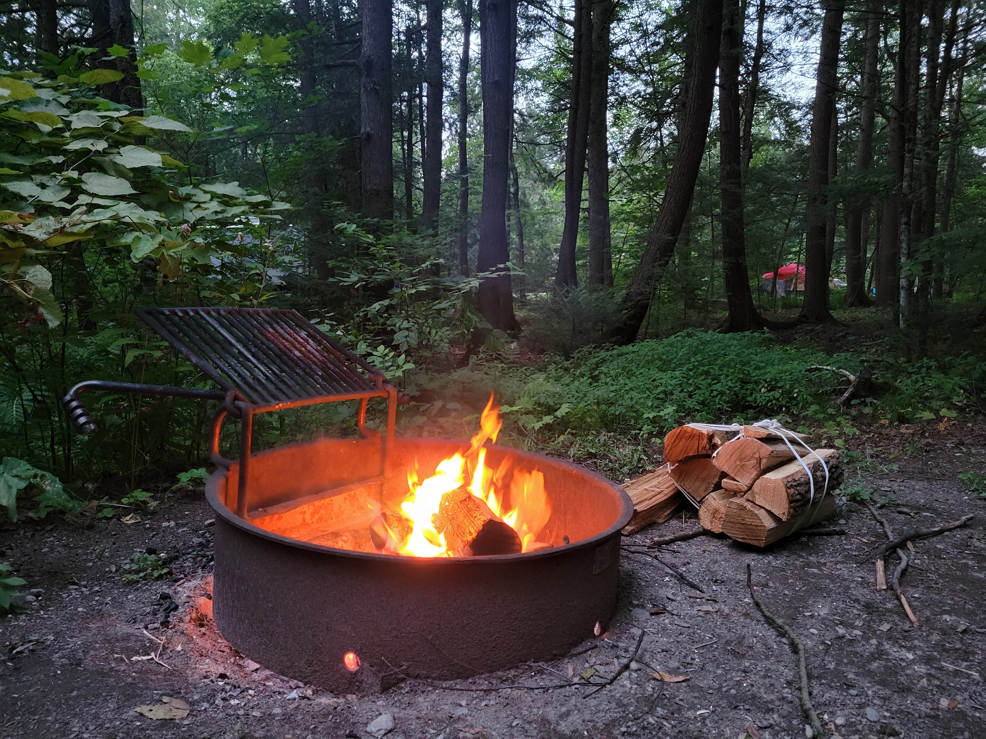 Camper-submitted photo at Lake Carmi State Park Campground near Milton, VT