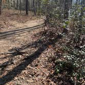 Review photo of Tallulah Gorge State Park Campground by Brandon R., February 12, 2022