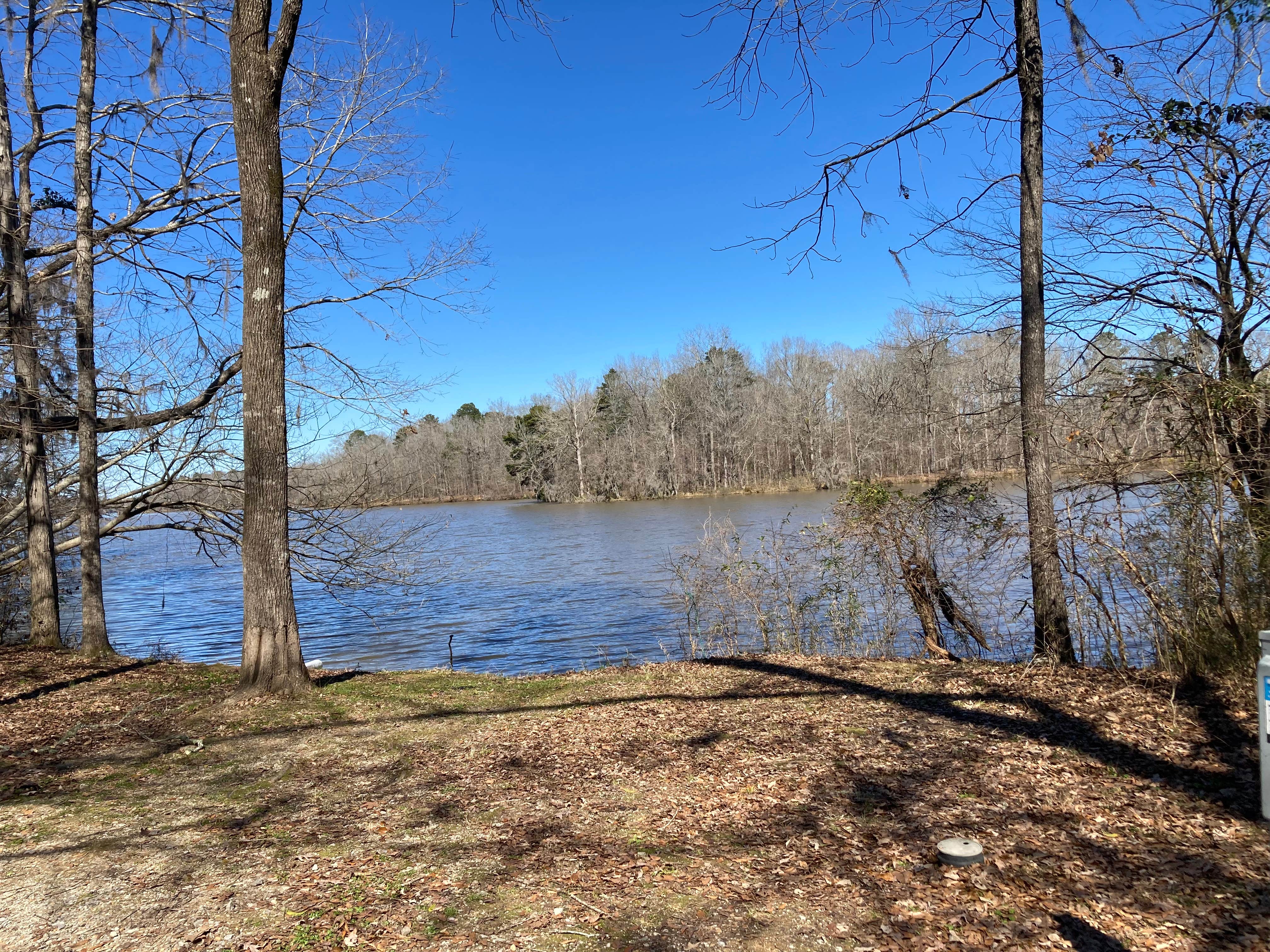 Camper submitted image from Prairie Creek Campground - 2