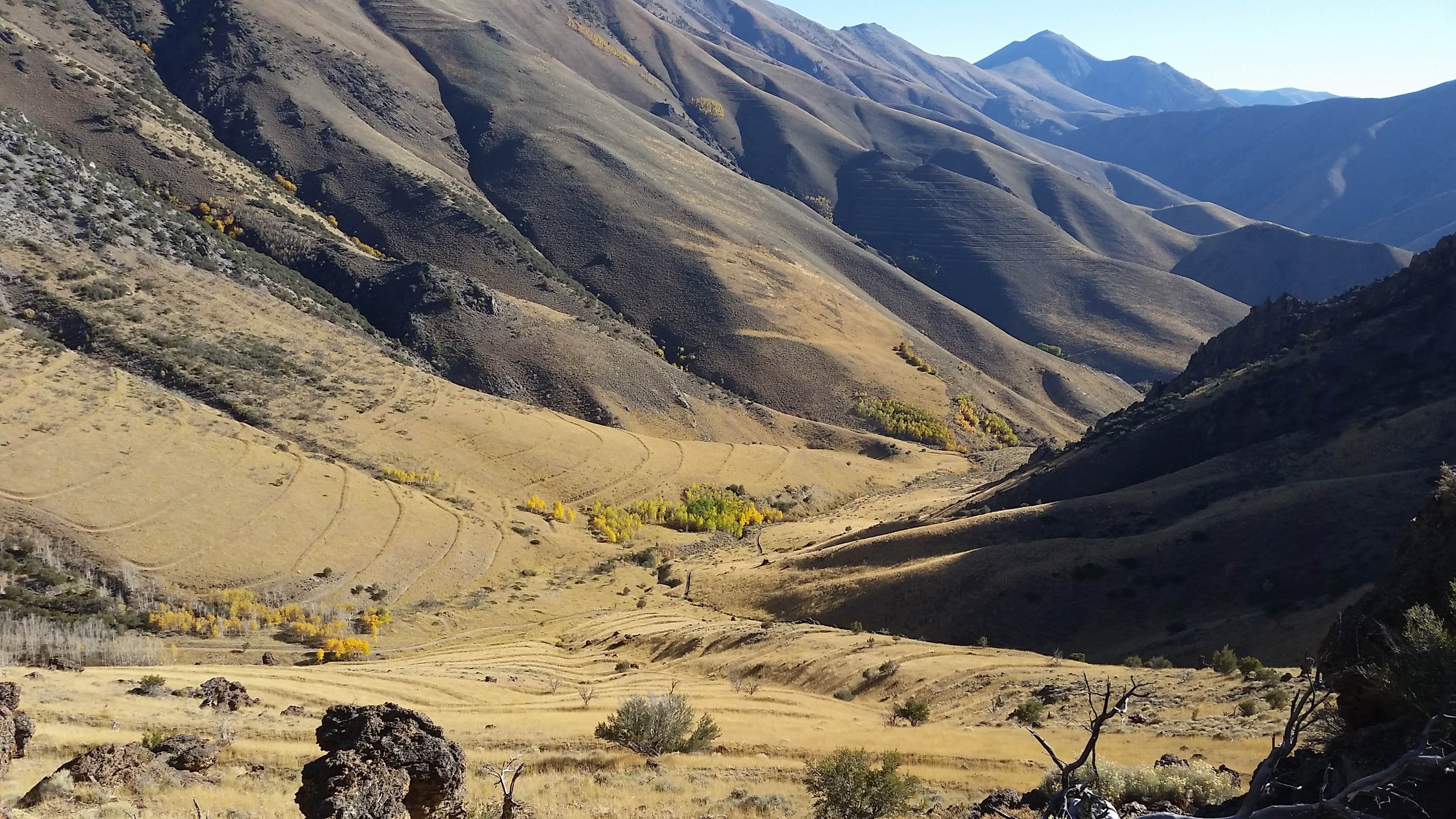 Camper-submitted photo at Big Creek Campground near Round Mountain, NV