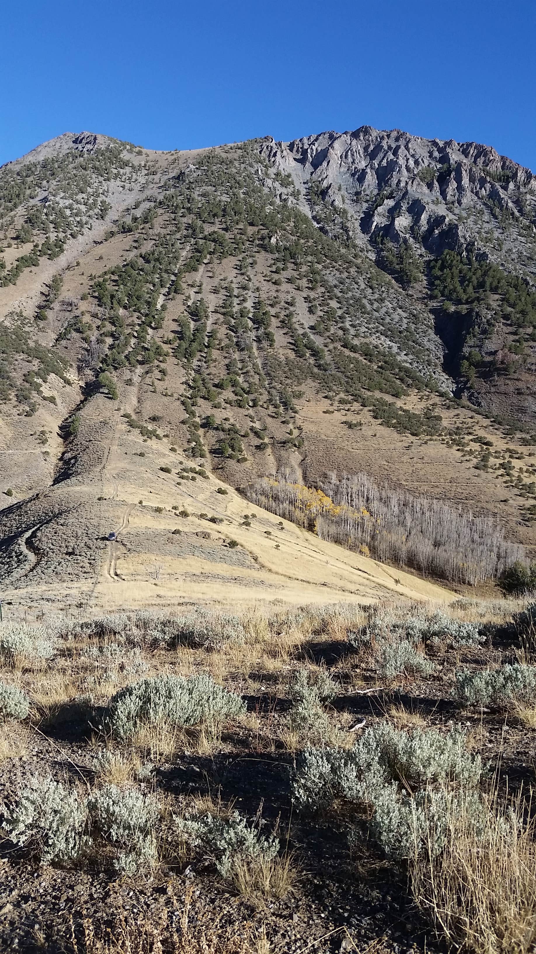 Camping near Bob Scott Campground: Big Creek Campground, Austin, Nevada