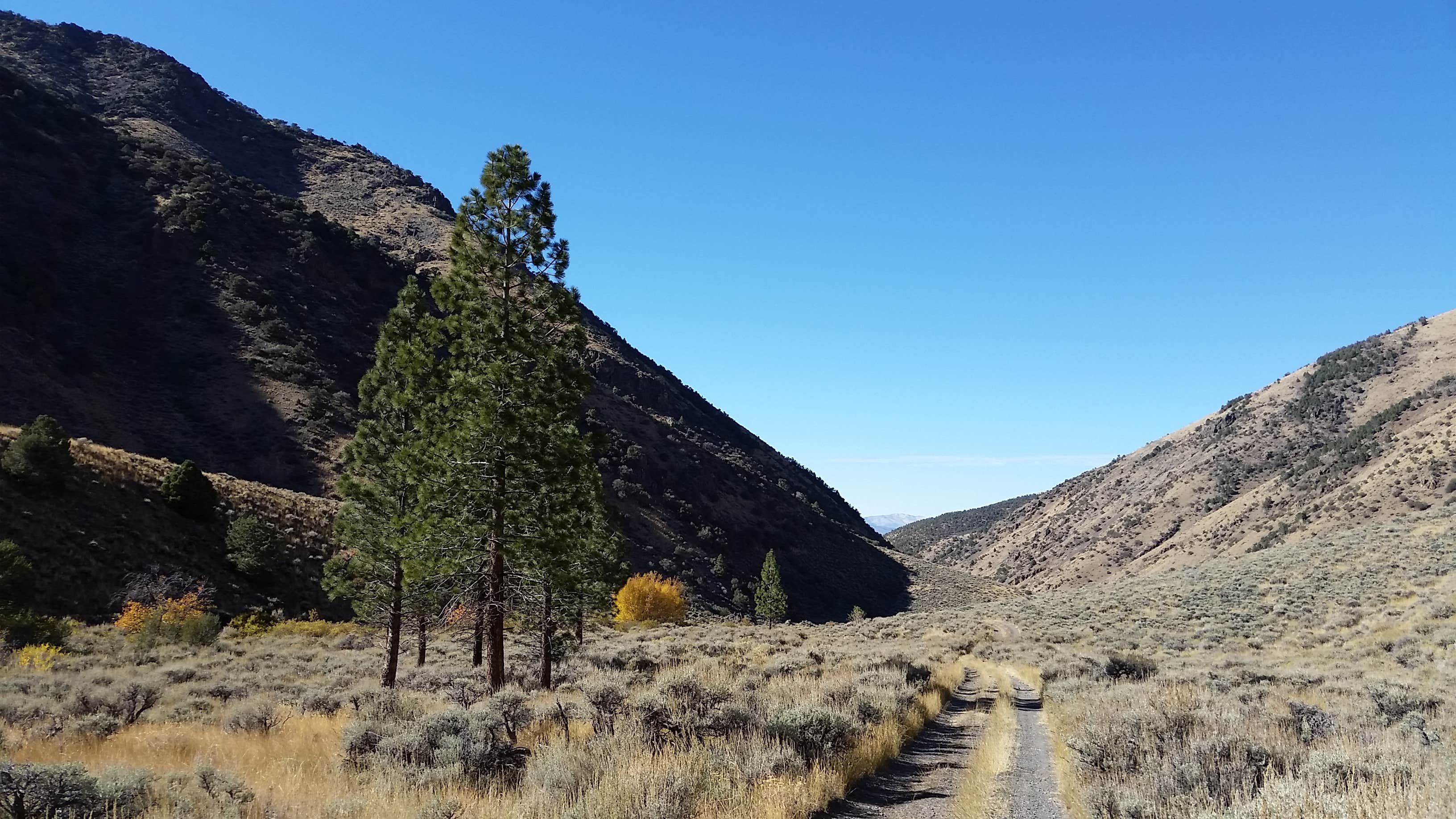 Camper-submitted photo at Big Creek Campground near Round Mountain, NV