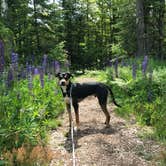 Review photo of Big Bay Town Park by Nicole M., July 10, 2018