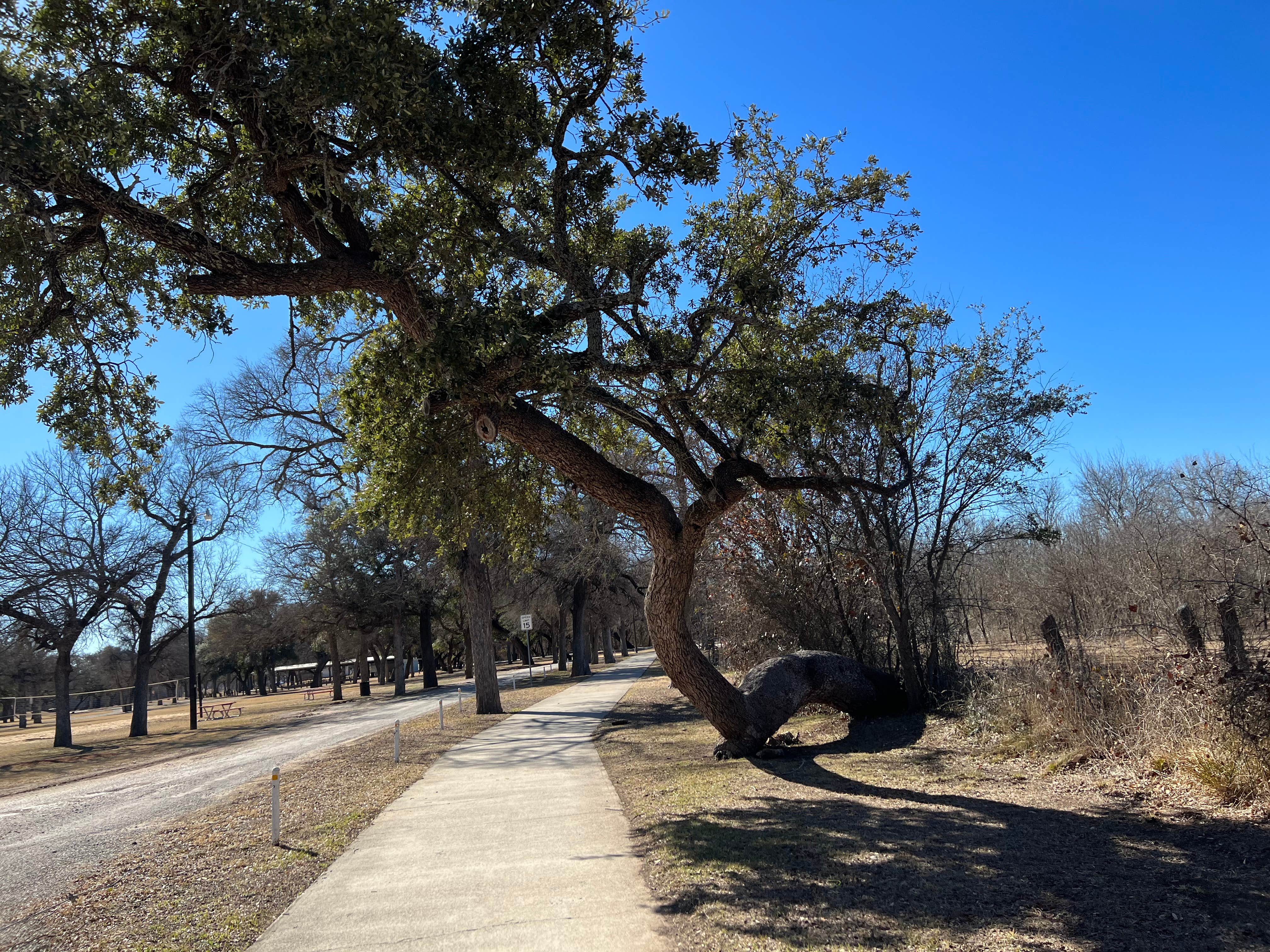 Camper-submitted photo at Riverside Park near Bangs, TX
