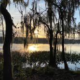 Review photo of Paynes Prairie Preserve State Park Campground by Kathy L., February 13, 2022