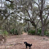 Review photo of Lake Kissimmee State Park Campground by Kathy L., February 13, 2022
