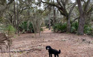 Kathy L.'s photo of camping with pets at Lake Kissimmee State Park Campground near Kenansville, FL