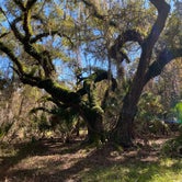 Review photo of Lake Kissimmee State Park Campground by Kathy L., February 13, 2022