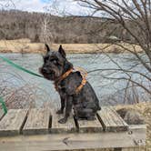 Review photo of Andy Guest/Shenandoah River State Park Campground by Megan K., February 13, 2022