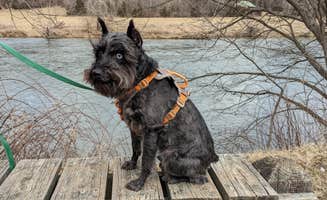 Megan K.'s photo of camping with pets at Andy Guest/Shenandoah River State Park Campground near Rileyville, VA